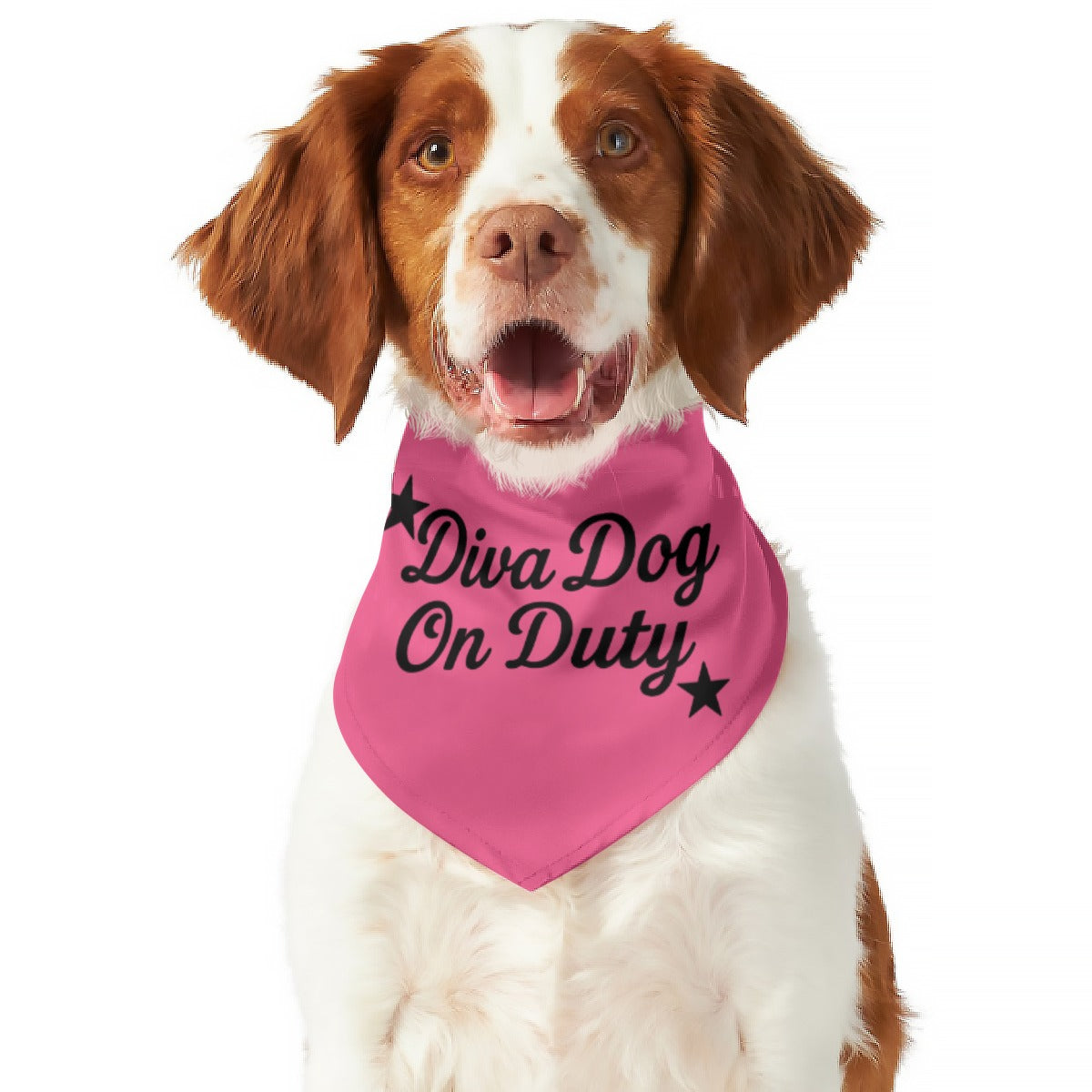 All-Over Print Pet's Scarf