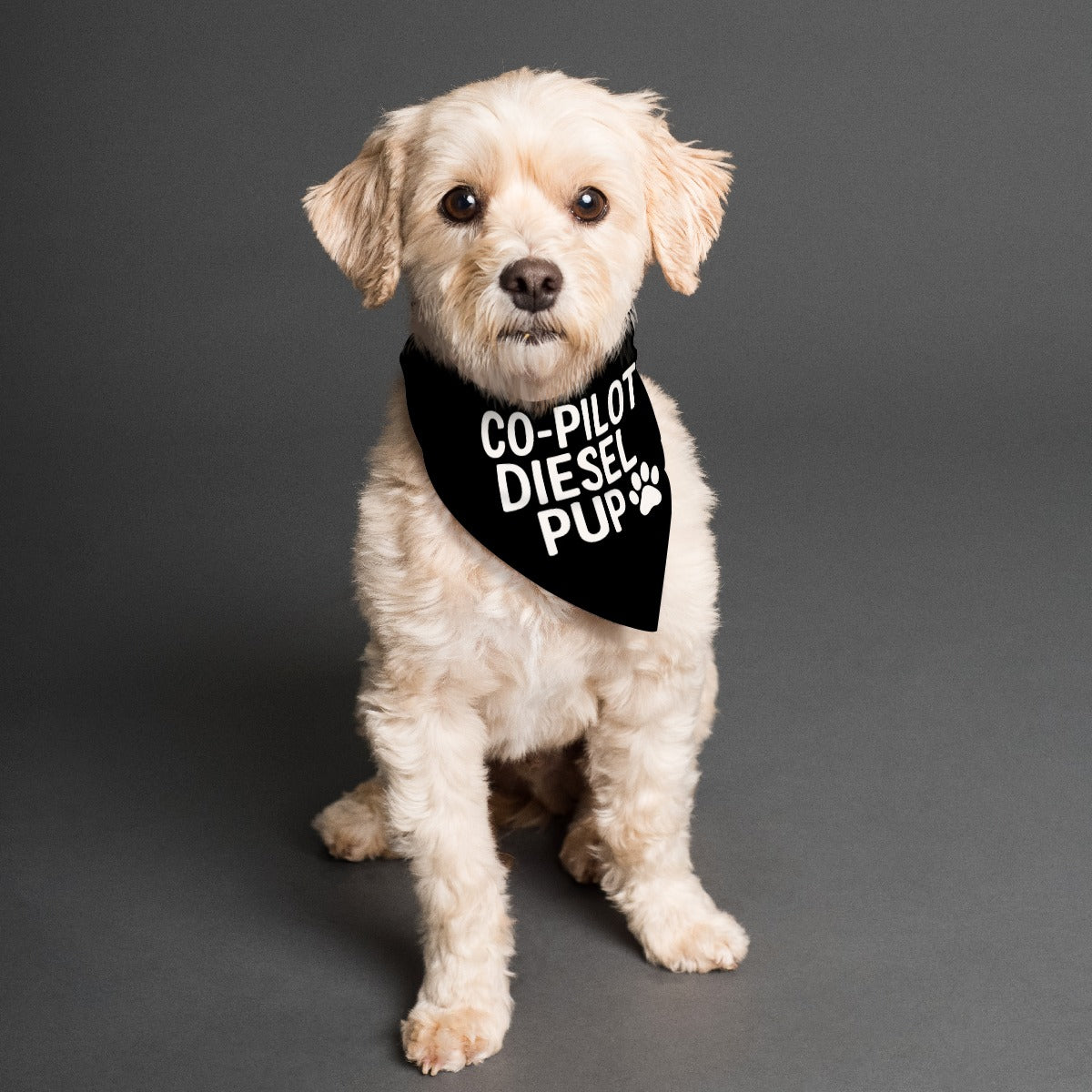 All-Over Print Pet's Scarf