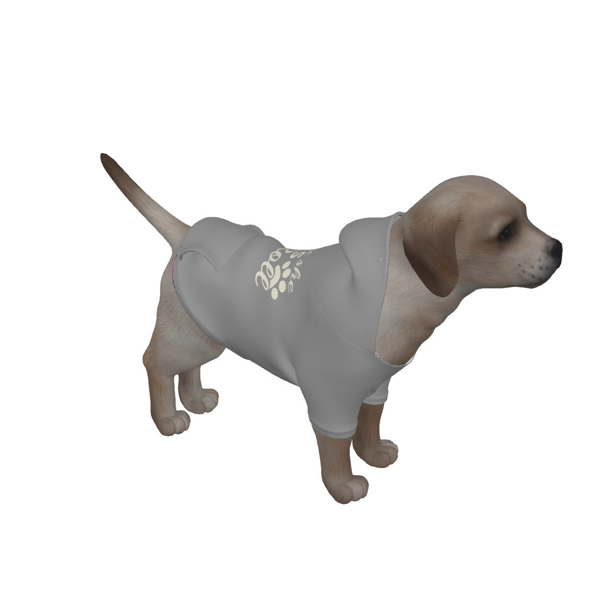 Where She Goes I Roll Dog Hoodie | Trucking Dog Apparel | Pet Pullover | Women in Trucking |